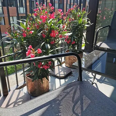 Apartment Cozy With Free Parking And Balcony *