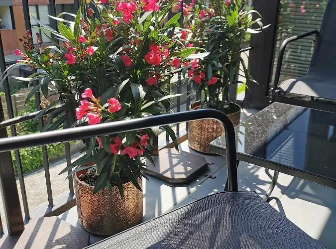 Appartement Cozy With Free Parking And Balcony *